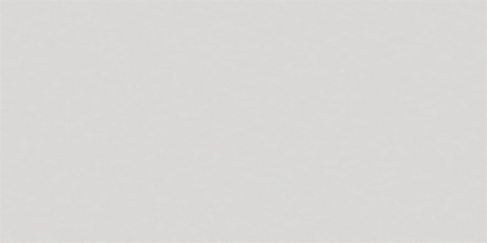 YC04 60x120x10 Непол.Рект. (Керамический гранит)