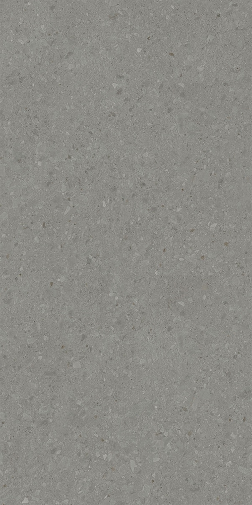 DD591520R Чеппо ди Гре серый тёмный матовый обрезной 119,5x238,5x0,9