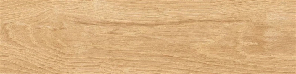 KM1040G0011N Аргания бежевый матовый 9,9x40,2x0,8