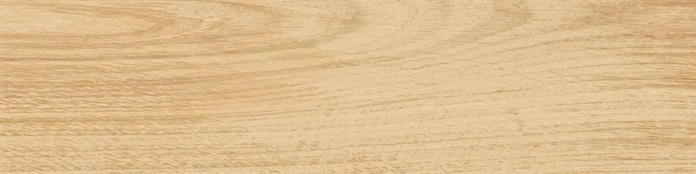 KM1040G0011N Аргания бежевый матовый 9,9x40,2x0,8
