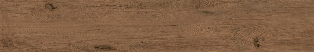 SG515120R Сальветти бежевый тёмный обрезной 20x119,5x0,9